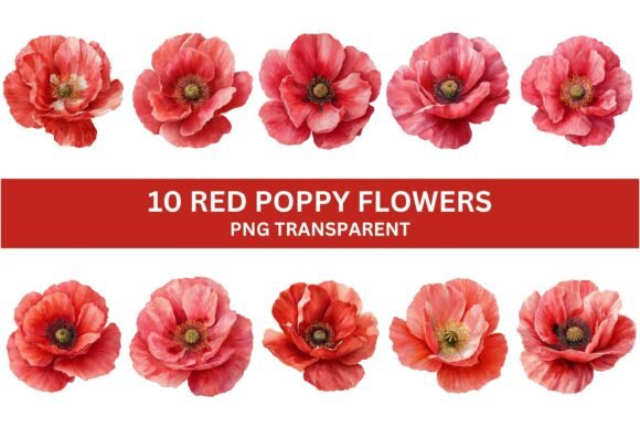 Download 10 Vibrant Red Poppy Flower PNG Set - Premium Bundle