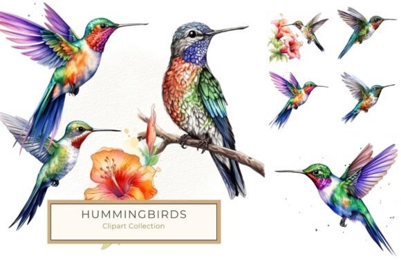 Download Vibrant Watercolor Hummingbird Clipart - Premium Resources