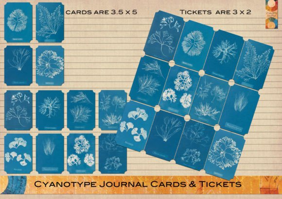 Download Cyanotype Journal Cards &amp; Tickets - Type Collection
